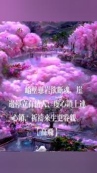 救援沙滩女孩